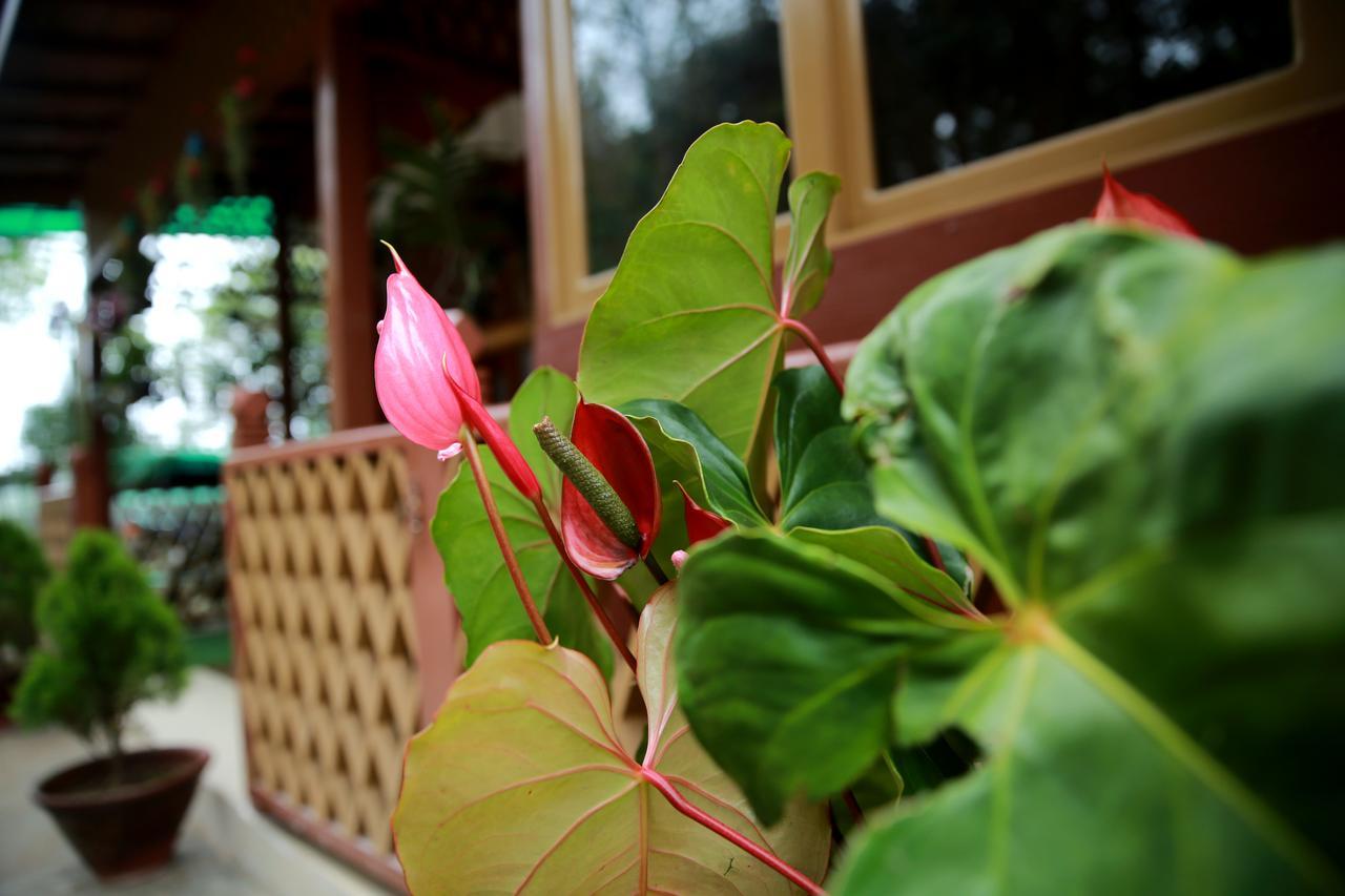 Essence Motel Kalaw Bagian luar foto